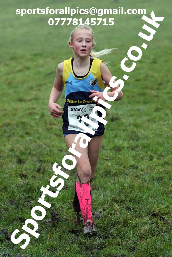 Girls under-13s, NECAA Junior Cross Country Relays, Thornley Farm, Peterlee, Saturday, December 12th. Photo: David T. Hewitson/Sports for All Pics